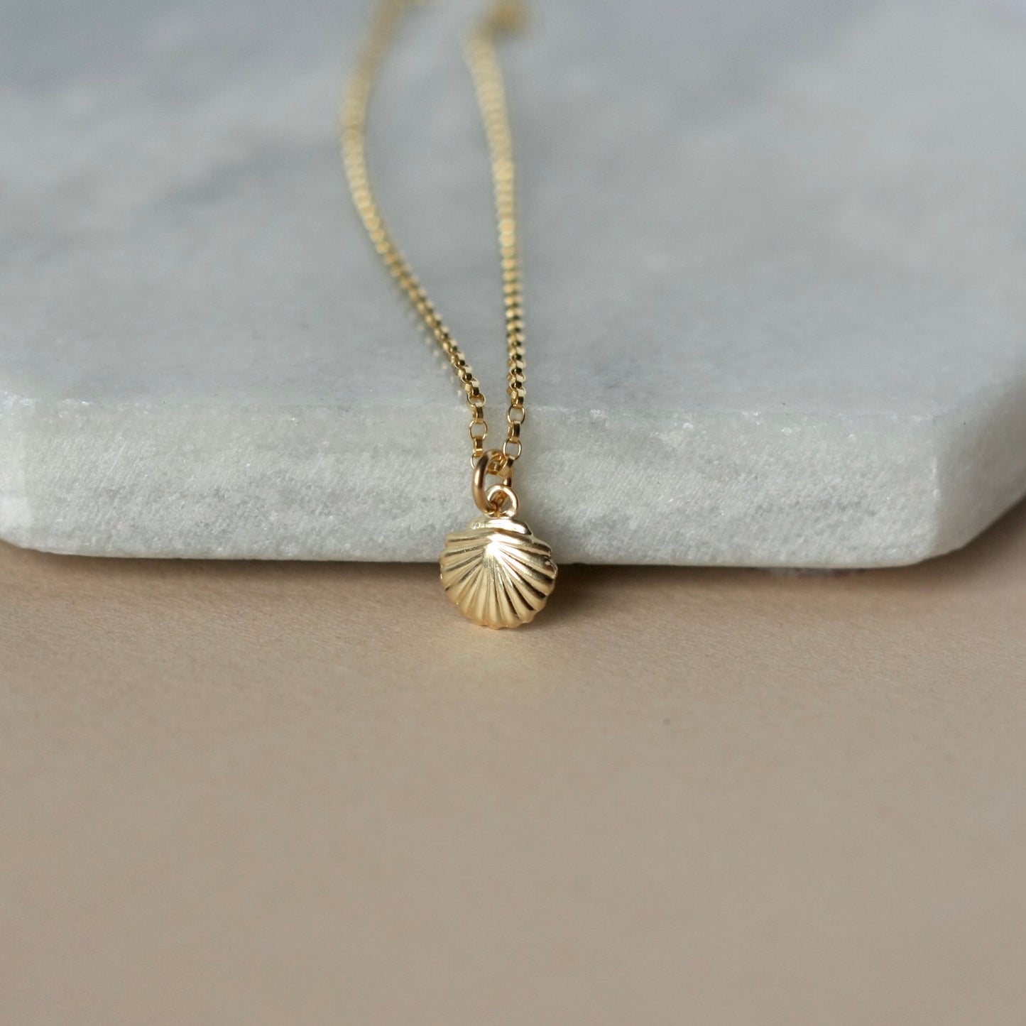 Dainty Gold Sea Shell Necklace
