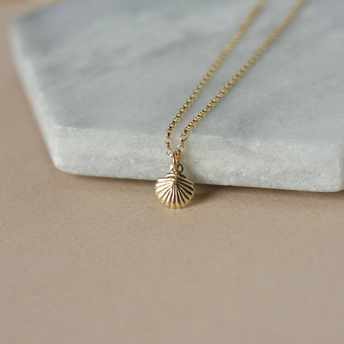 Dainty Gold Sea Shell Necklace