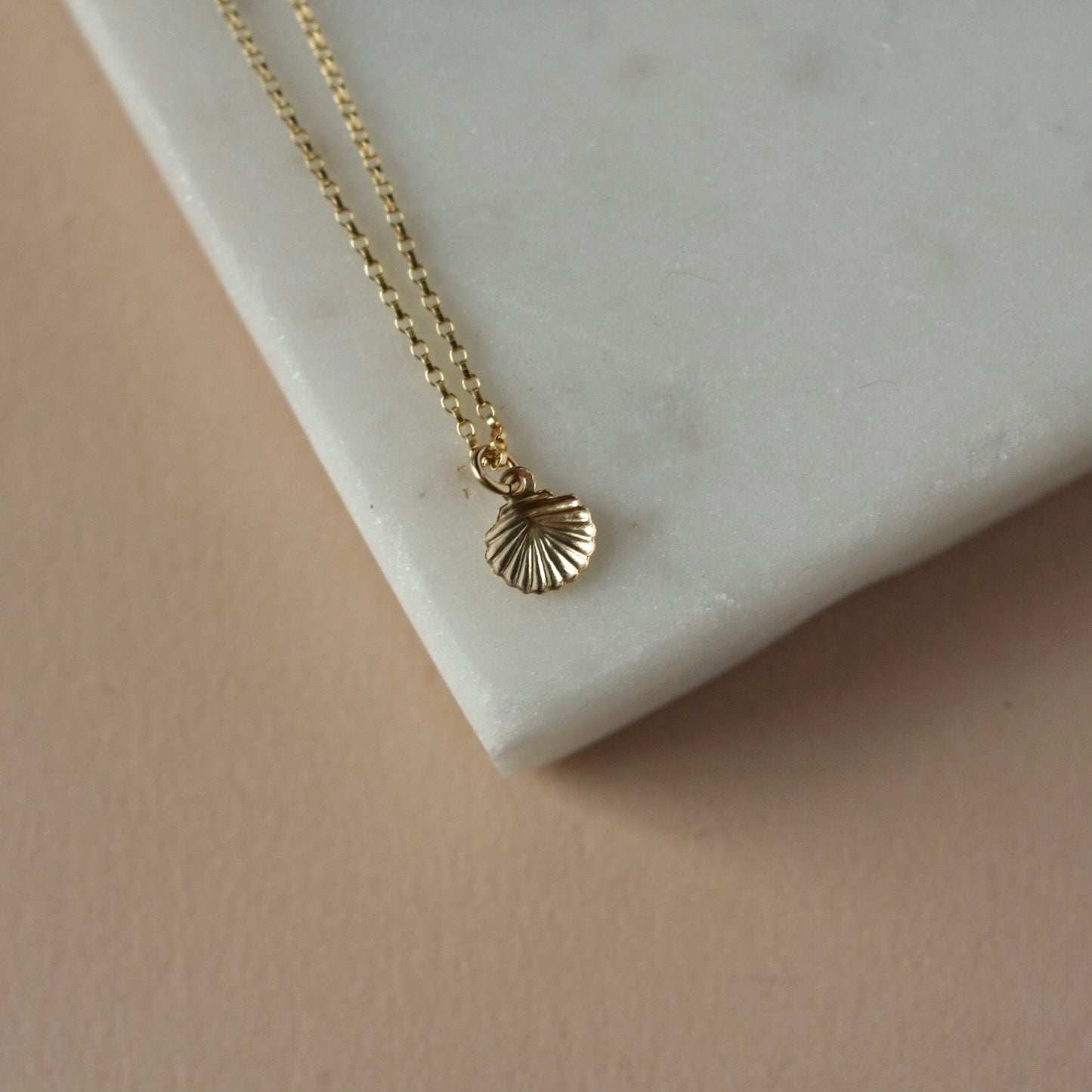 Dainty Gold Sea Shell Necklace