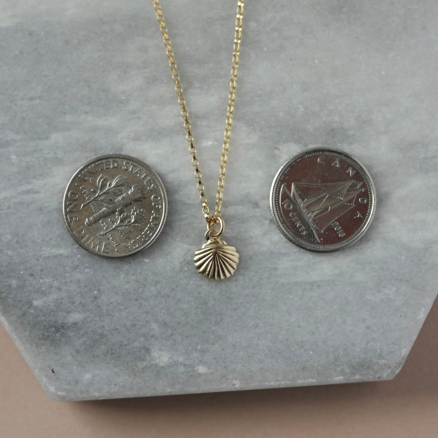 Dainty Gold Sea Shell Necklace
