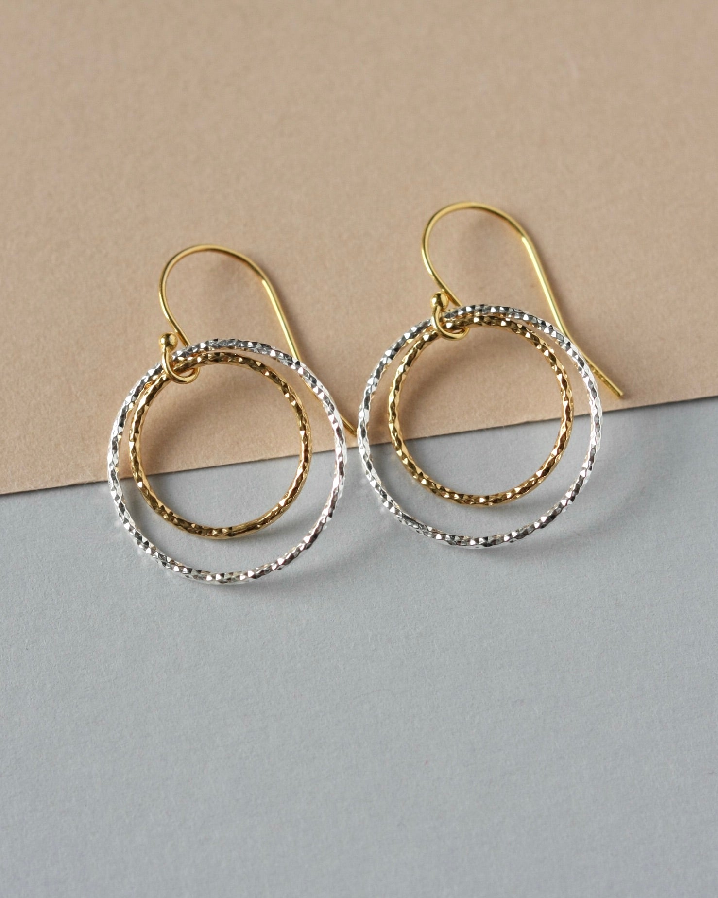 Sparkly Double Circle Earrings