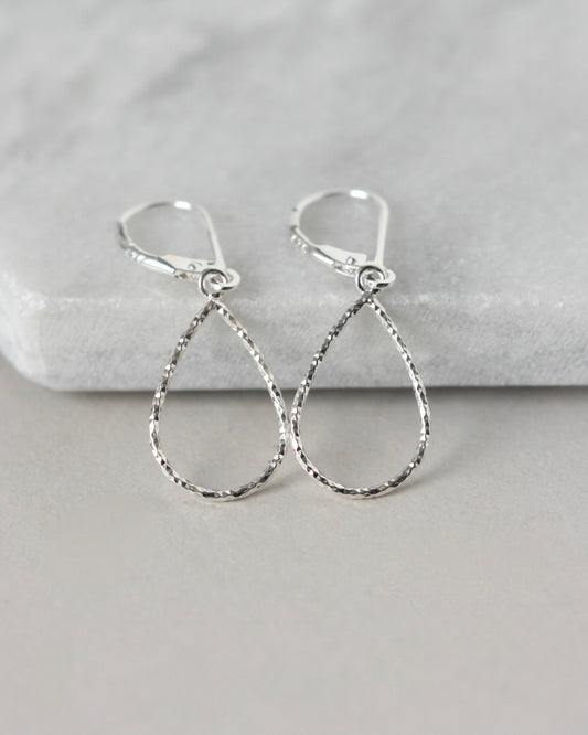Sparkly Sterling Silver Dangle Earrings