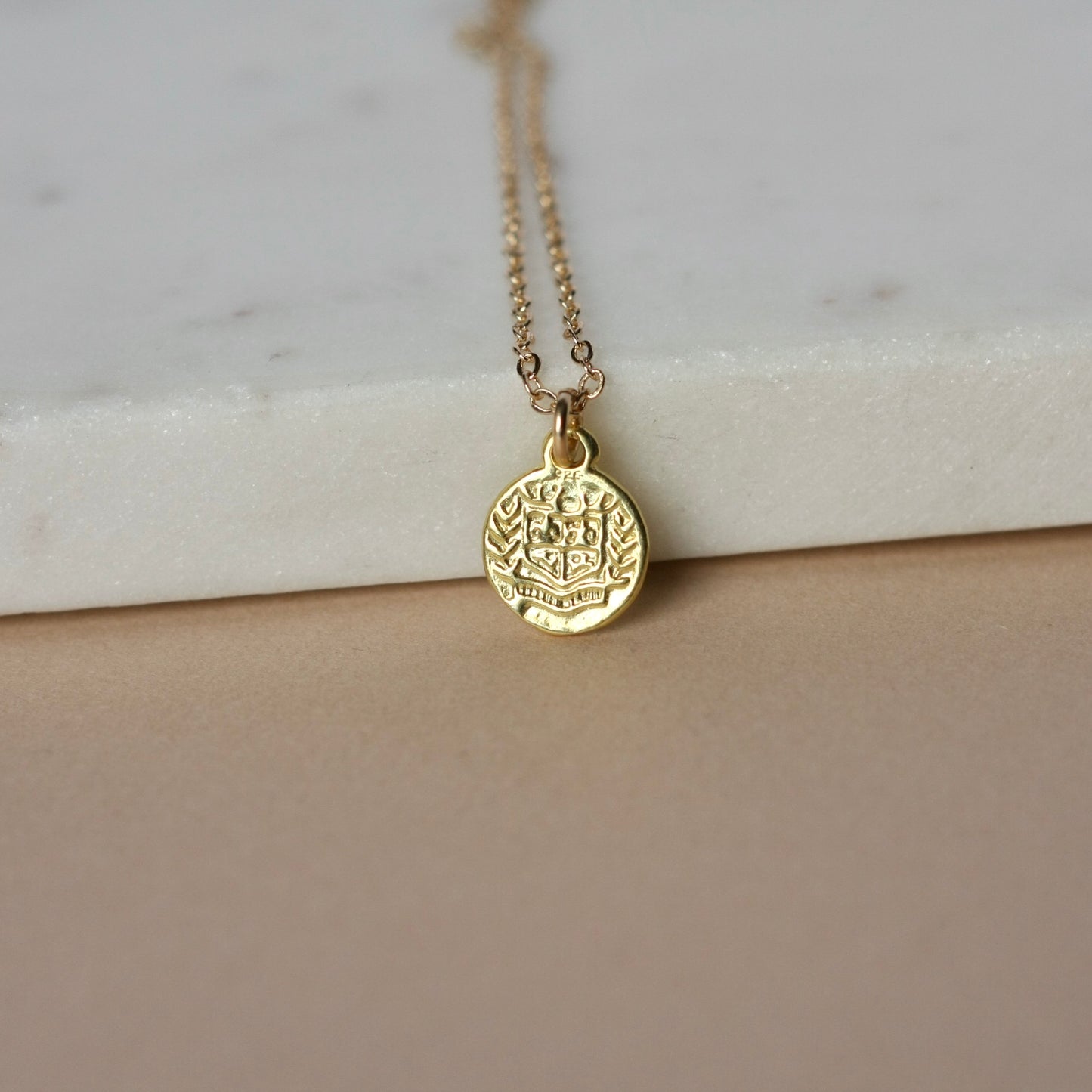 Trendy Minimalist Gold Coin Layering Necklace